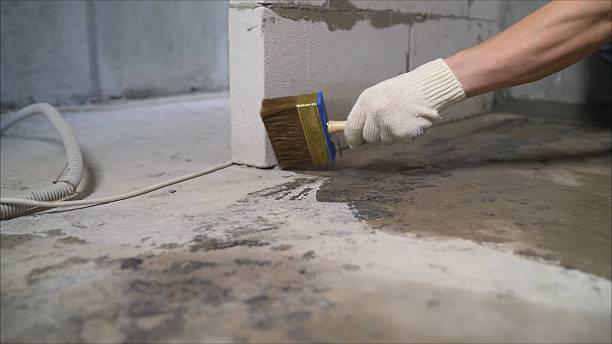 SJ Waterproofing Pros Basement Waterproofing coverage map for Sylvania, GA and surrounding area